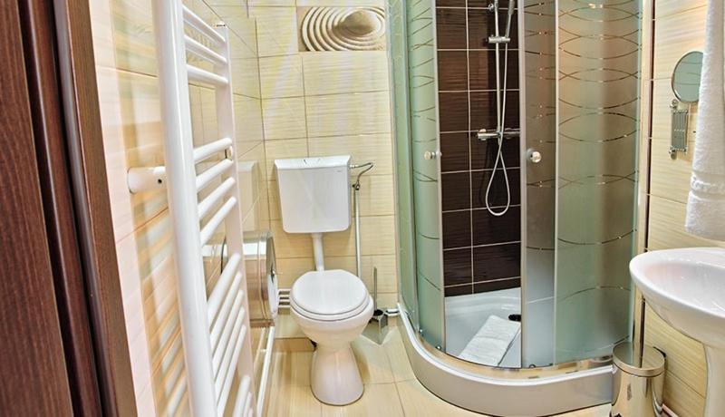 Pensiunea Sibiana Sibiu Ngoại thất bức ảnh